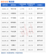 线下配资:热点题材数字水印概念是什么？热门概念股有哪些
