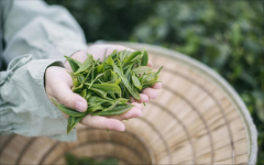 线上配资开户|见好就收？美股科技大佬们涨势不停巨头们成了防守股