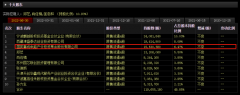 股票配资公司-半年度净利暴增18倍国芯科技的高增长能否持续？