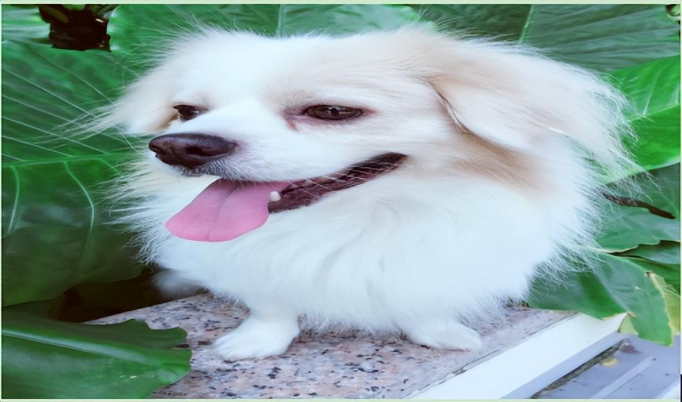 为什么要在调整时买入股票？建议认真读十遍