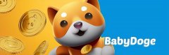 线下配资:Baby Doge还能崛起甚至超越SHIB吗？