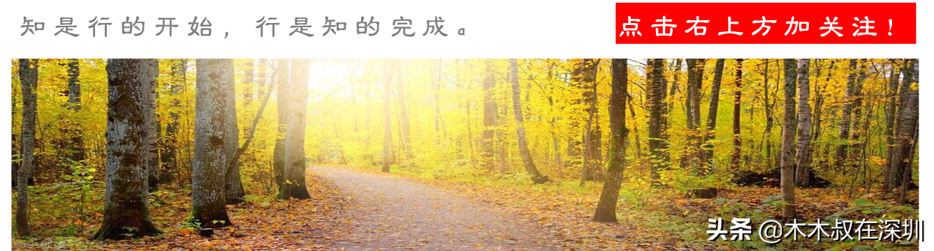 坊间流传四大骗因何而起？补贴盛宴下的产业梦