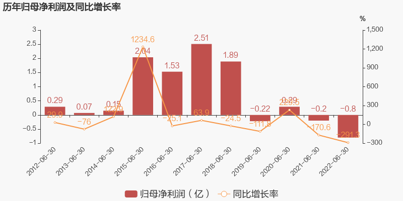 股票大额配资