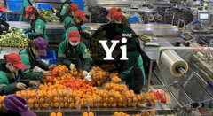 证券配资平台|公司能不能做大 在你开张的那刻就决定了
