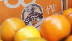 无息配资合同|机构5月投资策略陆续发布 中特估行情有望纵深演绎