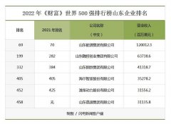 股票配资合约|一年间跃升83位 魏桥创业缘何成财富500强排名上升幅度最大鲁企