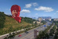 网络股票配资平台-心情好不好 一棵树知道今年智博会上马上消费的智能化产品火了