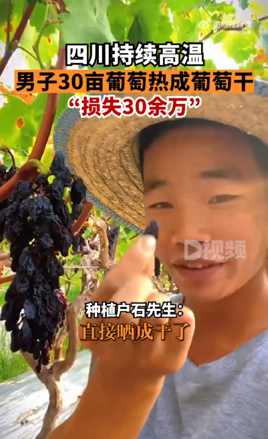 杠杆炒股
