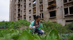 配资资讯平台-美联储远期货币政策判断不改港股迎来重要底部