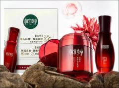 股票配资资金-市场轮动加速主动基金VS被动基金谁是赢家？