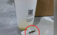 融资配资服务-太恶心了知名奶茶被爆喝出壁虎 你还敢喝吗？