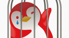 配资查询网|信号明星基金持仓向＂冷门股＂靠拢 有何考量？公募持仓进入历史高位