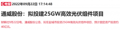 杠杆炒股公司_耗资40亿2200亿硅料龙头投建高效光伏组件项目 上下游能否通吃？
