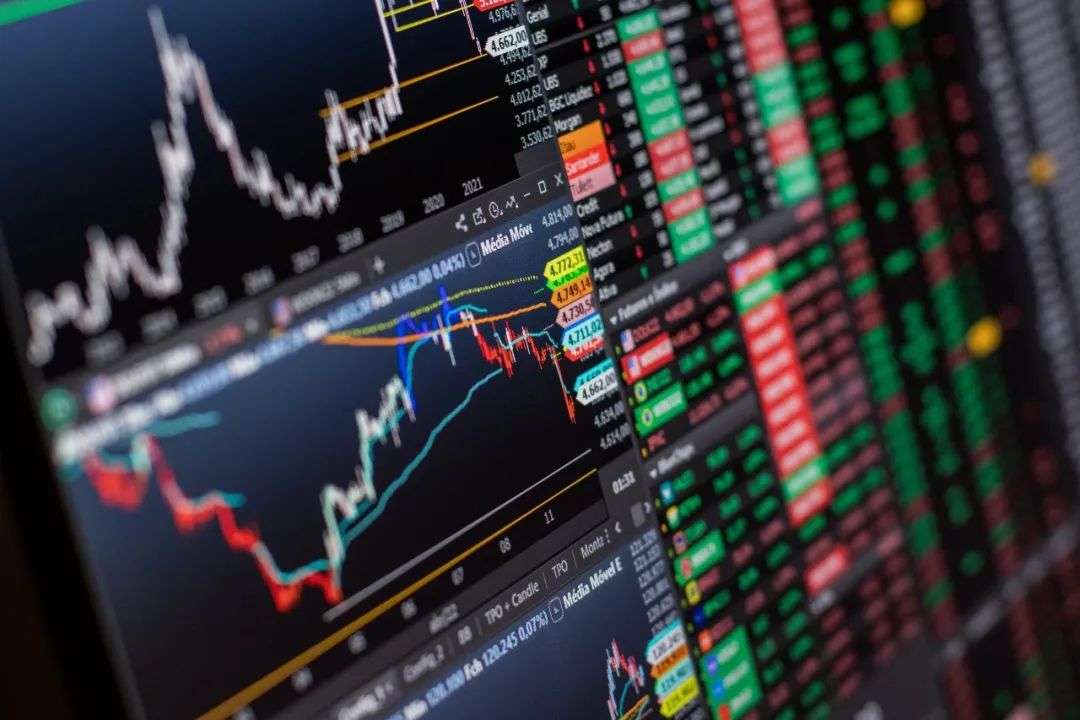 直击A股反弹 基金经理们在想啥？