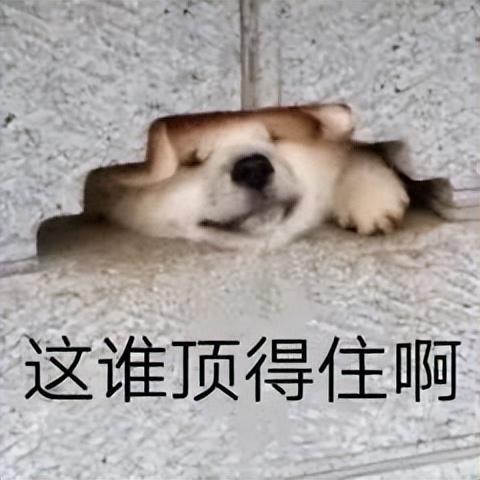 证券公司配资