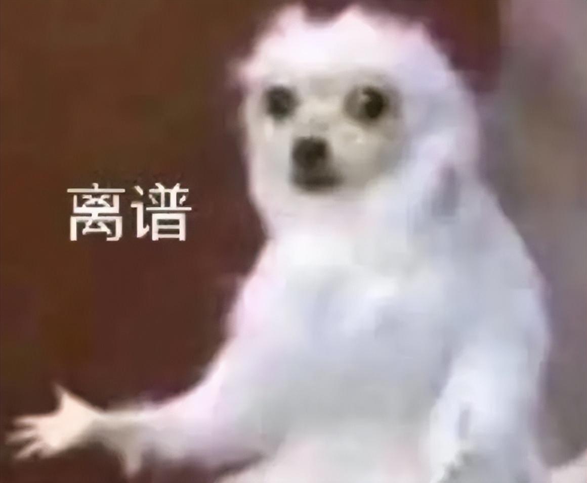 证券公司配资